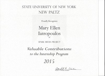 npz-intern-award-2016